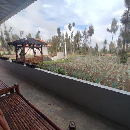 Elen Homestay By Abm Bromo Exterior photo