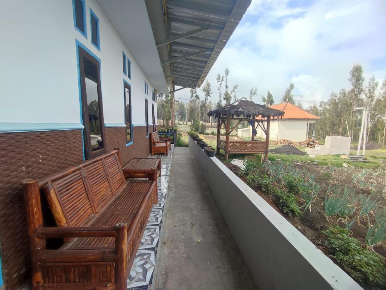 Elen Homestay By Abm Bromo Exterior photo