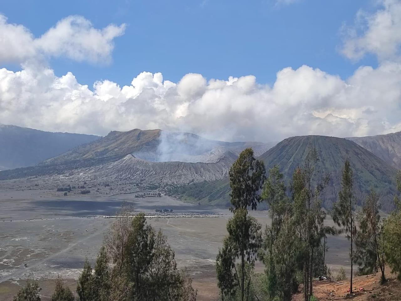Elen Homestay By Abm Bromo Exterior photo